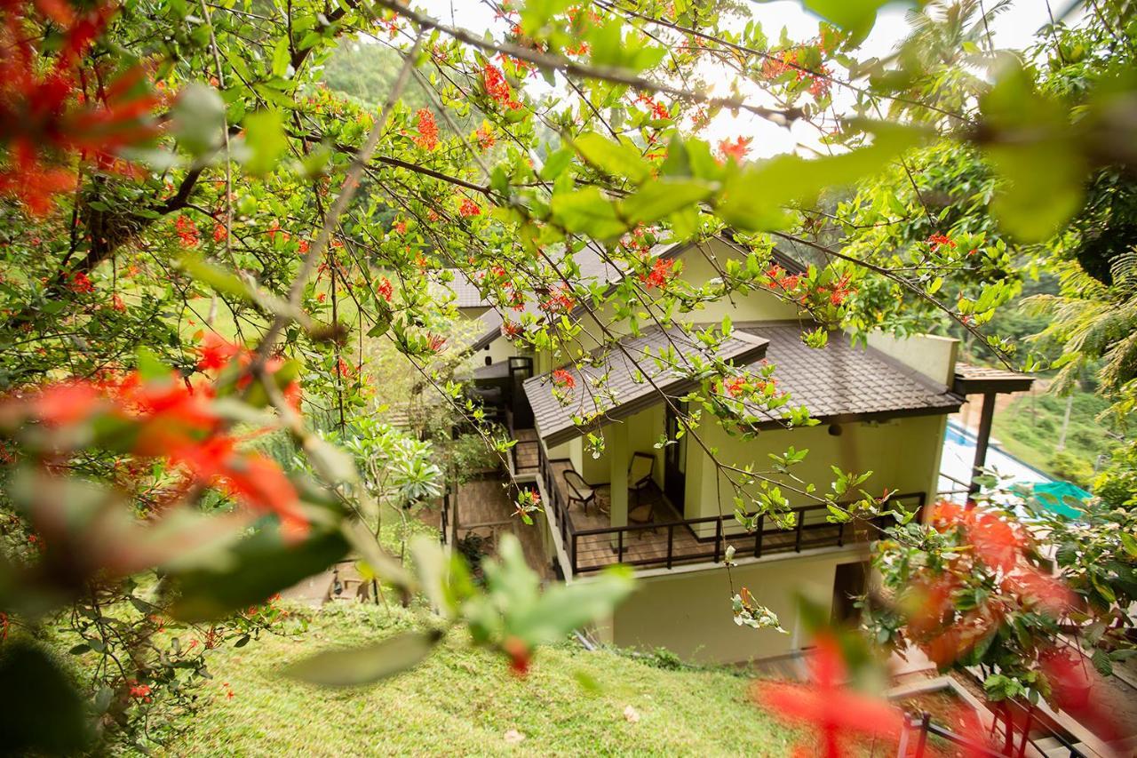Huluganga Ridge, Kandy Karalliyadda Екстер'єр фото